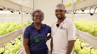 The Biggest Urban Indoor Farm in Ghana  Farm Estates Ltd [upl. by Boigie]