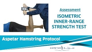 11 Assessment  Isometric Innerrange Strength Test [upl. by Ayin]