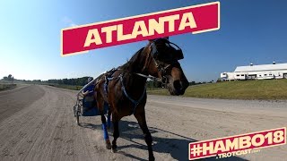 Hambo18 A TrotCast Story Atlanta [upl. by Ahsekyw]