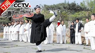 Eng Sub 武当功夫传人 钟云龙 Wudang martial arts  《流行无限》 20160814  CCTV4 [upl. by Alocin]