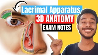 lacrimal apparatus anatomy 3d  anatomy of lacrimal apparatus  lacrimal gland anatomy [upl. by Attenehs]