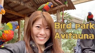 【NL】61 カラフルな鳥とトロピカルなおサルさんに会える場所｜Where you can meet colorful birds and tropical monkeys [upl. by Euqirne]