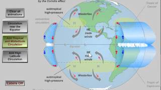 Global Atmospheric Circulation [upl. by Terris863]