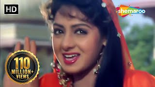 Mere Dil Ki Galiyon HD  Banjaran Songs  Rishi Kapoor  Sridevi  Alka Yagnik  Suresh Wadkar [upl. by Dotti]