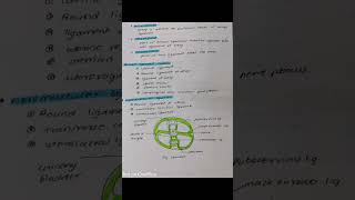 uterus anatomy handwritten notes and uterine tube mbbs anatomy anatomy reels bams notes [upl. by Starr]