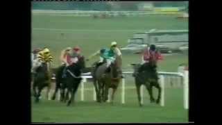 1981 Waterford Crystal Champion Hurdle Challenge Trophy [upl. by Bain]