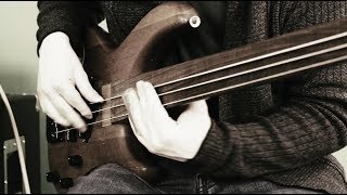 BOTTLENECK SLIDE ON FRETLESS BASS [upl. by Ylaek]