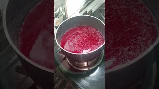 Raspberry flavour jellyjelly raspberry easytomake howtomakeraspberryflavoredjelly youtubeshorts [upl. by Audy]