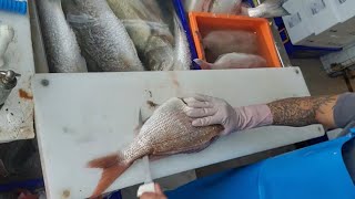 How a Professional Fillets Fish  Fish Cutting Super Fast  Filleting Fish Skills [upl. by Azeria685]