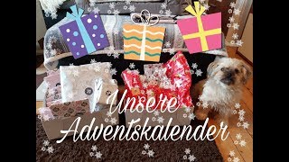 Mogli amp mein Adventskalender  von VeryImportant   Info und Türchen 1 [upl. by Netsirc]