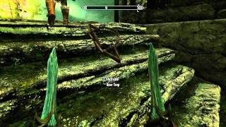 Bear trap assassinations【Skyrim】 [upl. by Edasalof]