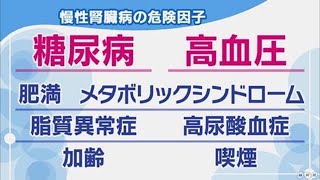 【NHK健康】慢性腎臓病の原因と代表的な病気（糖尿病性腎症・腎硬化症など） [upl. by Walls301]