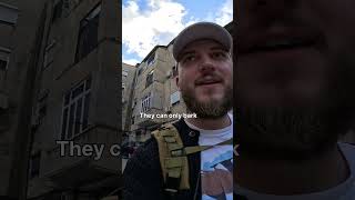 Dog Barks at Me Inside the Hood in Tirana albania tirana hood sayginlost ghetto dog [upl. by Kihtrak]