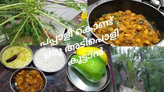 vlog 3Nadan RecipesLunch menukurumulaku moru currychicken roastBy Rajitha Ranjus Recipes [upl. by Grefer]