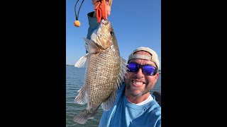 MS Gulf Coast Mangrove Snapper Frenzy Flounder Fishing Turns Epic at Pascagoula Lighthouse Park [upl. by Mallissa]