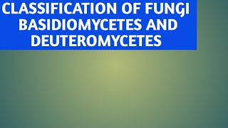 Basidiomycetes and deuteromycetes of class 11 [upl. by Anaic]