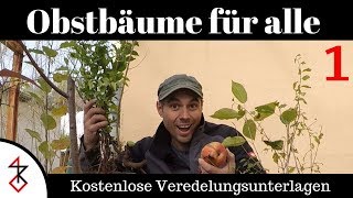 Veredelungsunterlagen  Obstbäume für alle Teil 1 [upl. by Namaan]