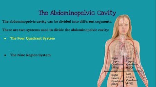 CHAPTER 1 Introduction to Anatomy and Physiology [upl. by Cypro]