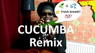 Cucumba Remix feat Macka B by KimboBeatz  Jamaican Cucumber Song [upl. by Lia]