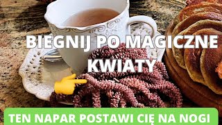 Biegnij po magiczne kwiaty Ten napar postawi cię na nogi zioła [upl. by Junji]