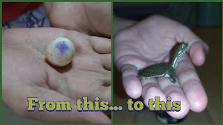 Softshell turtle eggs development and hatching [upl. by Falkner]