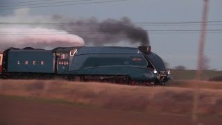 LNER A4 4464 Bittern Frinkley Lane 07122013 [upl. by Klement]