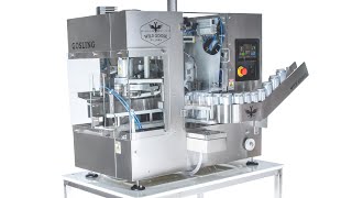 Wild Goose Filling Gosling 20 Compact Canning Line [upl. by Larok]