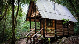 TIMELAPSE Construção de uma cabana rústica na selva [upl. by Odelinda]