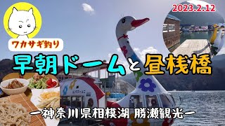 相模湖 選べるワカサギ釣り【早朝ドームamp昼桟橋】ー2023年2月ー神奈川県 [upl. by Heidi]