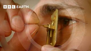 The Gadget That Changed How We See The World  Cell  BBC Earth Science [upl. by Nomael]