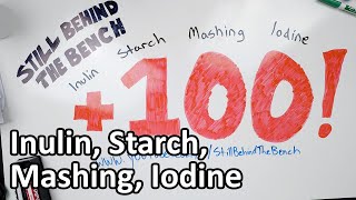 Ep 016  Inulin Starch Mashing and the Iodine Test [upl. by Ynnol173]