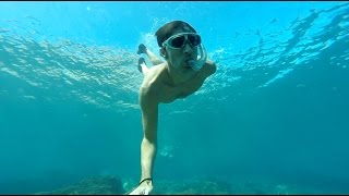 Canary Reef  Tenerife  Snorkeling El Nautico [upl. by Solon565]