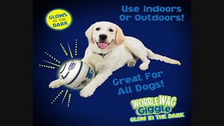 Wobble Wag Giggle Glow in The Dark Interactive Dog Toy Fun Giggle Sounds When Rolled or Shaken [upl. by Roose308]