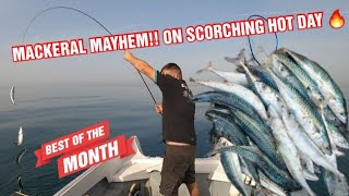 ONE MAN ONE BOAT  MACKERAL MAYHEM ON SCORCHING DAYfishing viral [upl. by Adnahc]