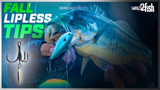 How to Fish Lipless Crankbaits for Fall Bass [upl. by Katlin]