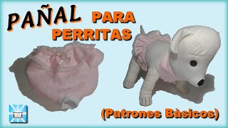 CÓMO PONER UN PAÑAL A UN PERRO pañal para menstruación o regla [upl. by Ayotal]