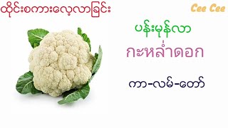 ထိုင္းဟင္းသီးဟင္းရြက္အေခၚအေဝၚမ်ား [upl. by Yrtnahc736]