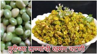 ओल्या तुरीच्या दाण्यांची खमंग चटणी  Turichya danyachi chatani  Whole Peagon Peas Recipe [upl. by Ecinad]