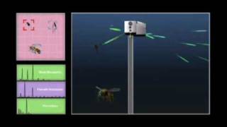 How to shoot down mosquito using laser gadget [upl. by Amerd]