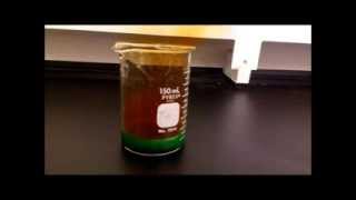 Quarter vs Nitric Acid [upl. by Ettenad]