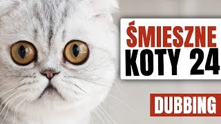 ŚMIESZNE KOTY 24 😆 DUBBING MATT OLECH [upl. by Zetrac]