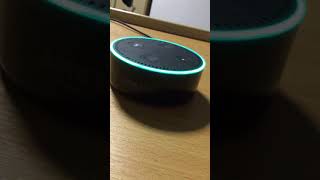 Amazon Alexa  The Magic Door [upl. by Lacym]