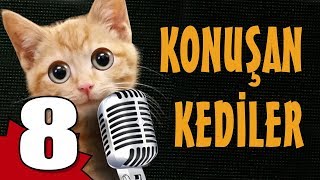 Konuşan Kediler 8  En Komik Kedi Videoları [upl. by Tterag]