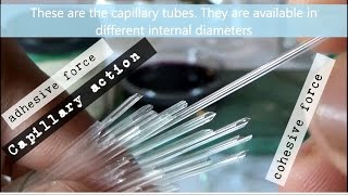 Experiment on Capillary Action or Capillarity using Capillary Tube [upl. by Anele]