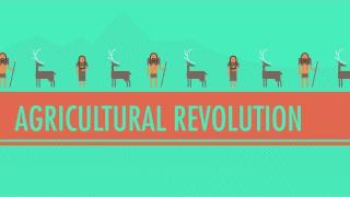 The Agricultural Revolution Crash Course World History 1 [upl. by Danielle445]