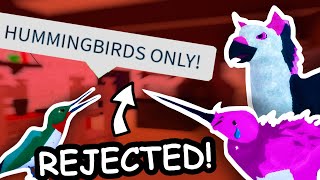 GETTING REJECTED on Feather Family Roblox [upl. by Eph222]