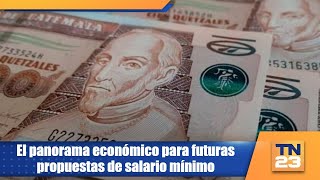 El panorama económico para futuras propuestas de salario mínimo [upl. by Enehpets]