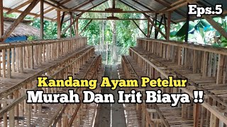 Pembuatan Kandang Ayam Petelur  Episode 5 [upl. by Graniah289]