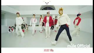 Stray Kids  quotChristmas Evelquot Dance Practice Magic Dance [upl. by Sama732]