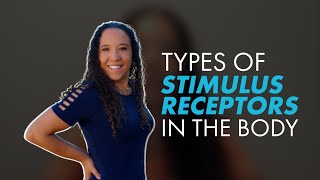 What are the Different Types of Stimulus Receptors in the Body [upl. by Htinnek]